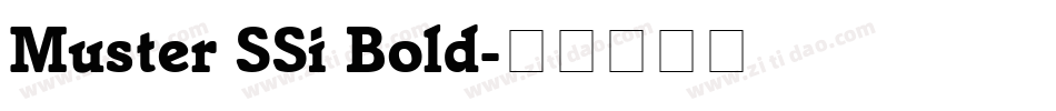 Muster SSi Bold字体转换